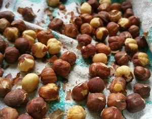 Hazelnut with shell Shelled Nuts Bleached Internal Hazelnut Roasted Nuts Natural Chopped Hazelnut ready for immediate export