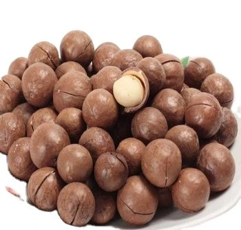 Healthy and nutritious snacks Delicious macadamia  nuts in bulk sale