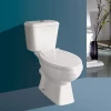 Henan Lory Hot cheap sanitary ware washdown two piece S-trap toilet
