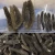 Import High Grade Wholesale Sea Cucumber Buyer Sea Cucumber from China