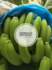 High Quality Fresh Cavendish Banana / Fresh Banana