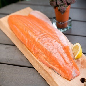 High Quality Fresh / Frozen Atlantic Salmon Fish