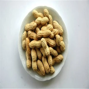 high quality fried and salted peanuts