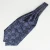 Import High Quality Jacquard Ascot Ties Cravat for Men from China
