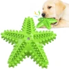High Quality Pet Dog Chew Toy Puppy Dogs Teeth Training Toys