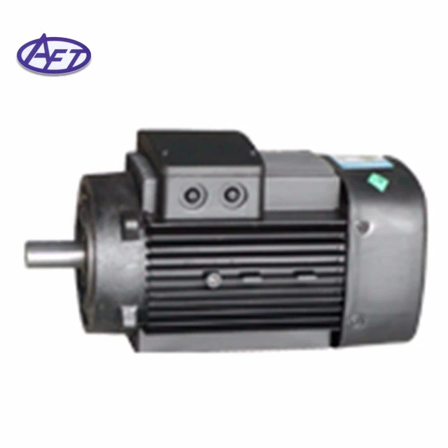 High Speed Motor 380V/220V Three-phase Induction Motor Electric Motor