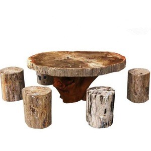 Home furniture hotel petrified fossil wood coffee side table