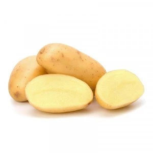 (HOT) 2016 Selling Fresh Potato From Belgium,Fresh Holland Potatoes