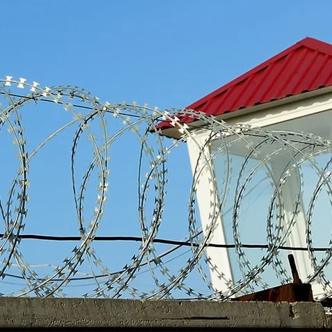 Eating Razor Wire Buy Hot Dipped Galvanized Razor Barbed Wire Rust-resistant Genre from ...