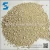 Import Hot Sale Best Quality China Bar-shaped Kitty Litter Factory from China
