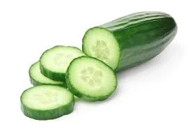 Hot Sale Fresh cucumber