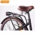 Import Hot Sale Green City Electric BikeChinese Cheap e Bike Electric Bicycle for Sale from China