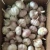 Hot Selling Chinese Fresh Red Garlic Online 5.5cm Size