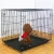 Import Hot selling high quality foldable metal wire dog animal cages pet cages carriers  from China from China