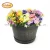 Import Hot selling vertical garden planter living wall with great price from China