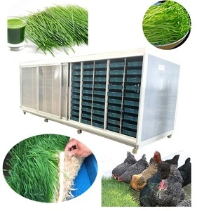 Indoor green plant hydroponic growing systems / pollution-free bean sprout cultivation machine
