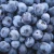 Import IQF Frozen Fruits Frozen mixed fruit mixed berries from China