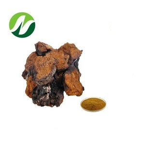ISO Certified 100% Natural Chaga Mushroom Extract 10%-50% polysaccharides