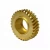 Import ISO9001 Certificated Factory OEM High Precision Worm Gear from China