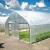 Import Large Plastic Agricultural Greenhouse Tunnel vegetable greenhouses for sale from China