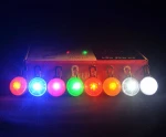 LED Flashing clip-on Pet Dog Cat Safety Clip Buckle Night Light Pendant Key Chain