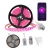 Import led light strip 12v outdoor remote waterproof rgb color changing 5m 5050 wifi led strip light from China