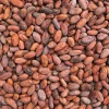 Level 1 AA grade Cocoa Beans