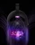 Import Light Control Super Silent USB Powered Electronic Mosquito Killer Non-Toxic UV Ultraviolet LED Mosquito Trap Lamp from China