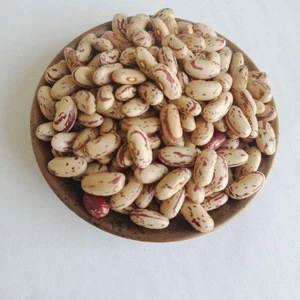 light speckled kidney beans long shape