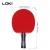 Import LOKI SW-137 OEM/ODM table tennis racket professional table tennis wholesale pingpong racket from China