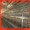 Low cost small quail layer cages/chicken cage