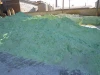 Low Price Ferrous Sulphate 98% With Green Vitriol