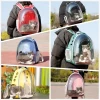 Luxury Portable Transparent Hot Selling Pet Cat Dog Backpack Capsule Breathable Bag Carrier of Pet Supplies Products