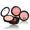 makeup supplier mineral blush/ blusher