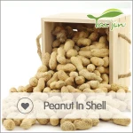Manufacturer 1kg price peanuts in shell