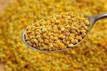 Manufacturer supply honey products bee pollen for bee bread