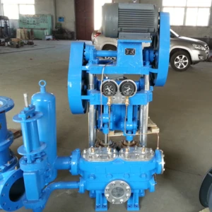 Marine Vertical Electric Reciprocating Piston Water Pump