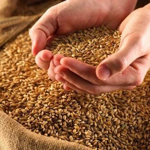 Milling Wheat, Feed Wheat, Buckwheat, Rye