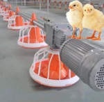 Modern Broiler Chicken Farm Design Full Automatic  Poultry Raising Equipment duck and any other animals  Pan feeder line