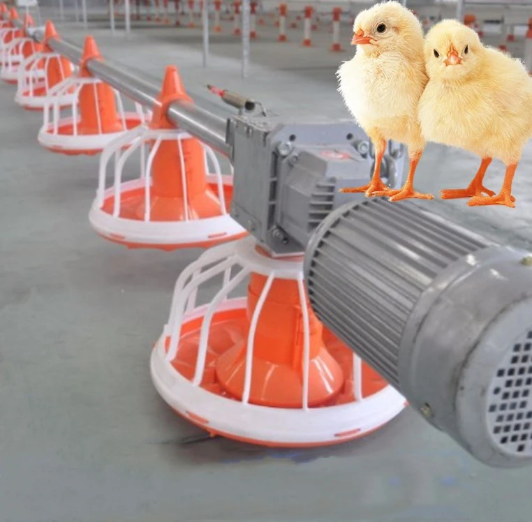 Modern Broiler Chicken Farm Design Full Automatic  Poultry Raising Equipment duck and any other animals  Pan feeder line