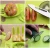 Import Multifunctional Portable Kitchen Tools 6pcs set Apple Cutter Fruit Fork Cutting Board Fruit knife Set with Stainless Steel Blade from China