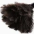 Import Natural colored household wood handle ostrich feather duster Made in china from China