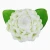 Import Natural Handmade Soap High Quality Handmade Fruit Flower Shape Soap - 585516 from China