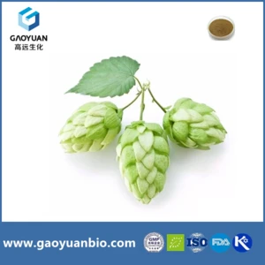 Natural Hops flower extract powder 10:1