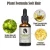 Import Natural Ingredient Effective Ginger Plant Extract  Hair Growth Treatment Oil for Hair Glow, Hair Loss from China