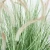 Nearly Natural Dogtail Green Bristlegrass Hand Painted Artificial Grass plant 95cm