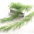 Import Needle wall hanging wall vine simulation leaves artificial plants for decoration T-008 from China