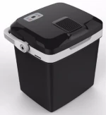 New Car Mini Refrigerator Cooler And Warmer Auto Fridge For Travel