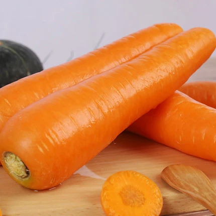 New Corp Carrot Shandong Carrot Storing Fresh Carrot