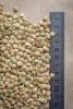 New crop Quality whole &amp; split Red lentils